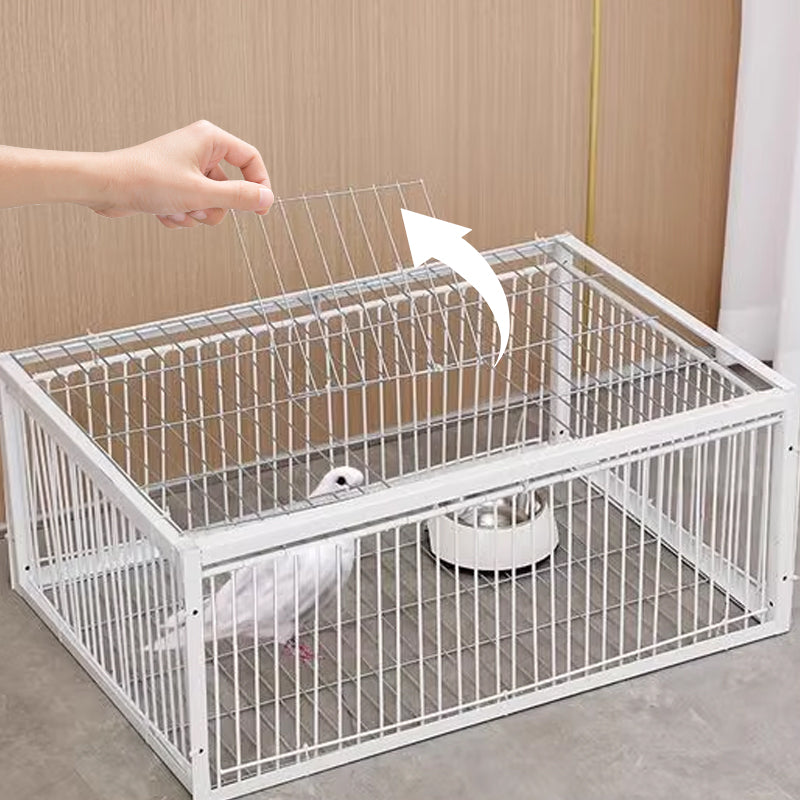 AutoTrap Bird Cage - Endast inträde, ingen utgång
