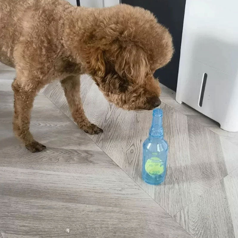 Flaskleksaker att tugga på för hundar