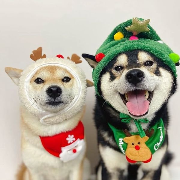 đGĂ„va till din furbaby 49% RABATTđđ
Underbar julgran Pom-Pom hatt