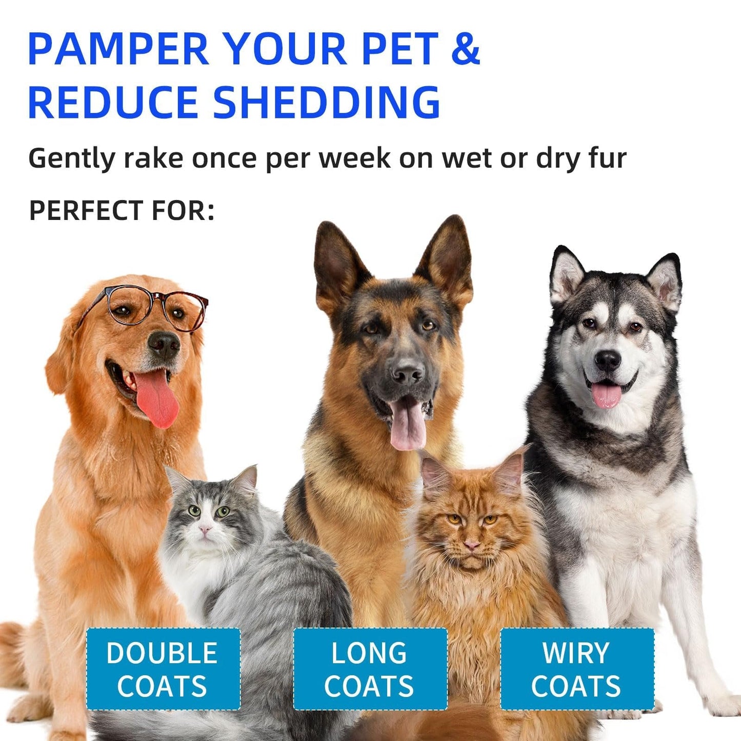 Husdjursborste med ångfunktion