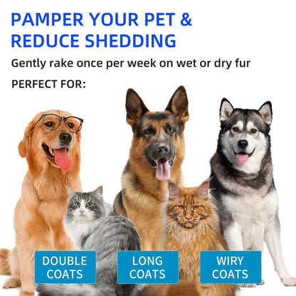 Husdjursborste med ångfunktion